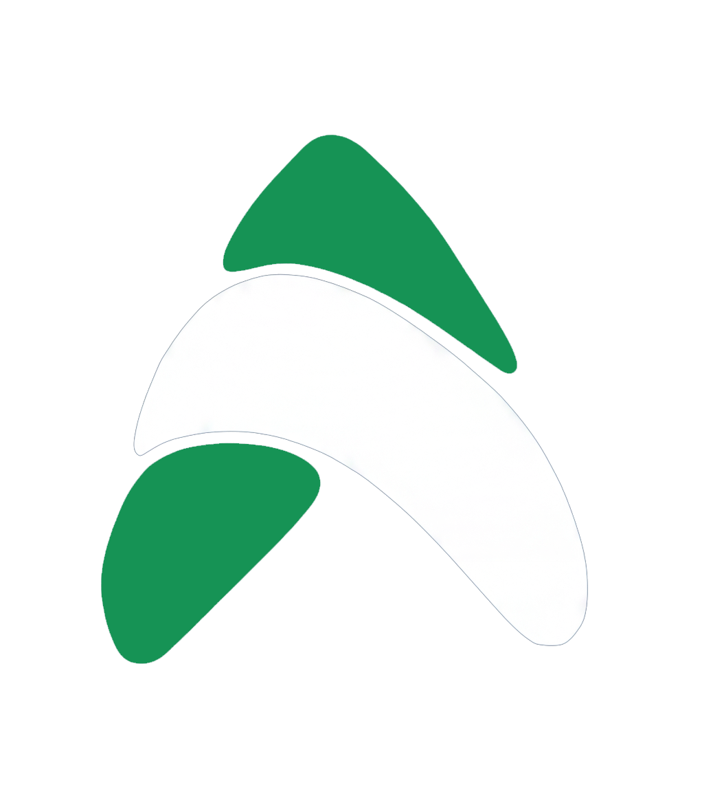 Astron Homes Logo